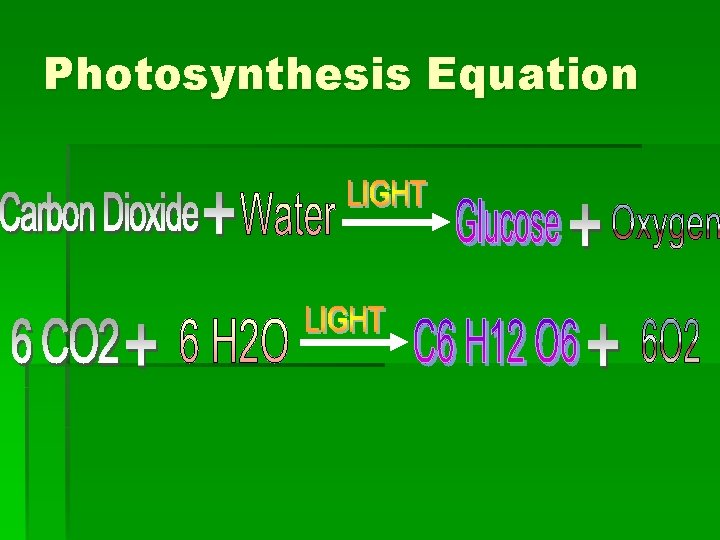 Photosynthesis Equation 