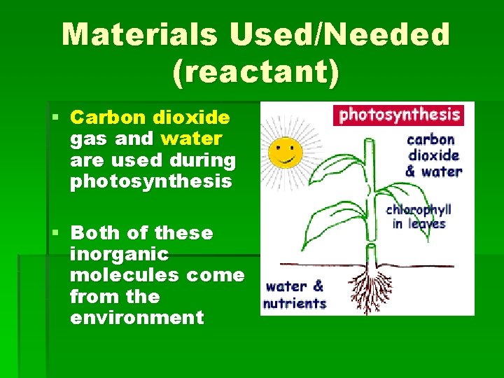 Materials Used/Needed (reactant) § Carbon dioxide gas and water are used during photosynthesis §