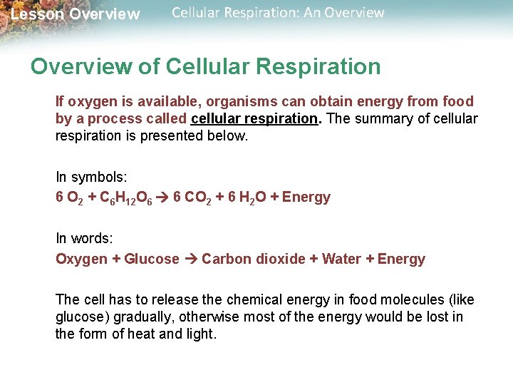 Lesson Overview Cellular Respiration: An Overview of Cellular Respiration If oxygen is available, organisms