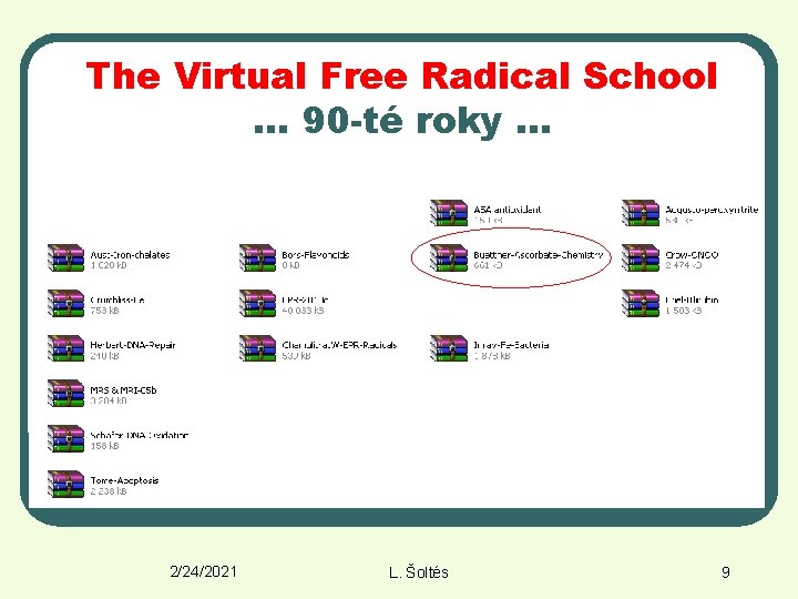 The Virtual Free Radical School. . . 90 -té roky. . . 2/24/2021 L.