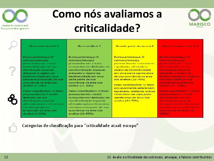 Como nós avaliamos a criticalidade? ? Categorias de classificação para “criticalidade atual: escopo” 12