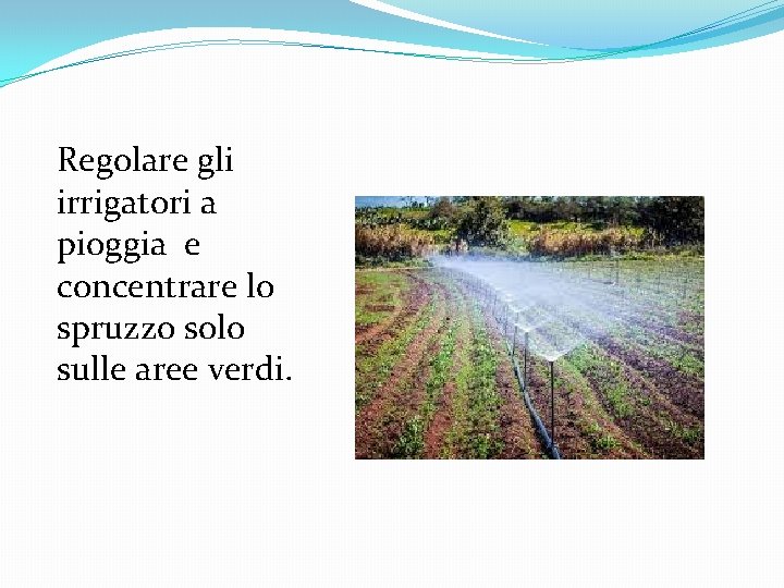 Regolare gli irrigatori a pioggia e concentrare lo spruzzo solo sulle aree verdi. 