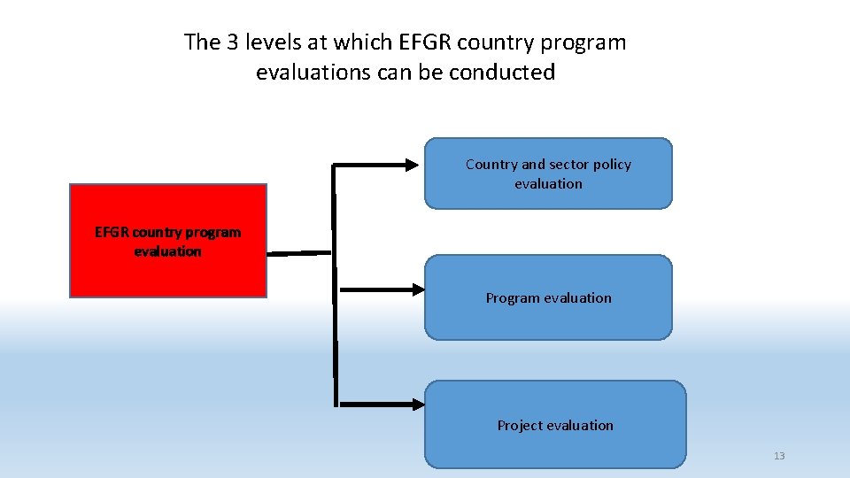 The 3 levels at which EFGR country program evaluations can be conducted Country and