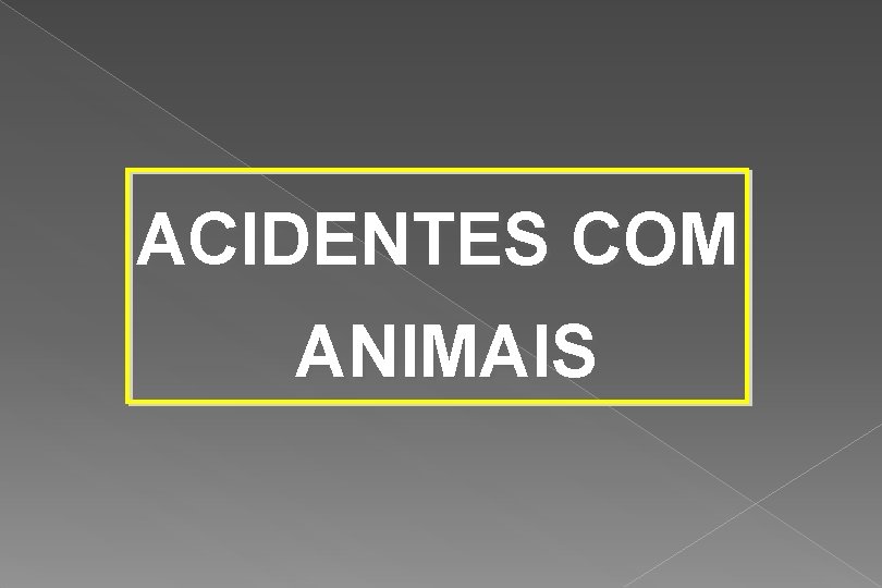 ACIDENTES COM ANIMAIS 