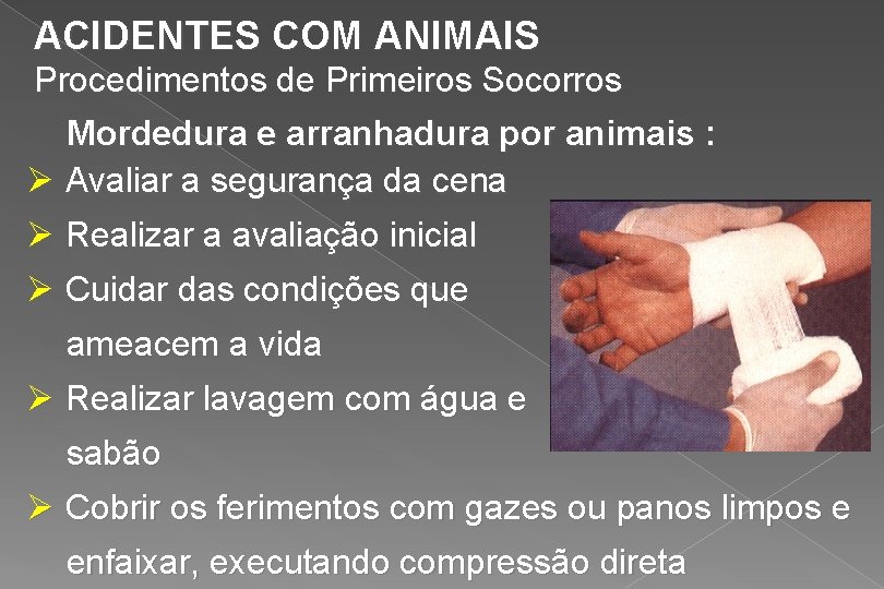 ACIDENTES COM ANIMAIS Procedimentos de Primeiros Socorros Mordedura e arranhadura por animais : Ø