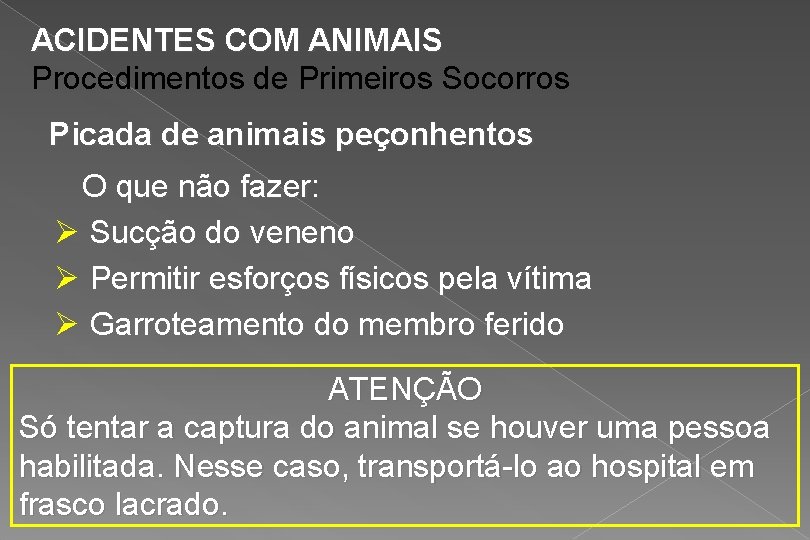 ACIDENTES COM ANIMAIS Procedimentos de Primeiros Socorros Picada de animais peçonhentos O que não