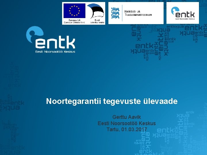 Noortegarantii tegevuste ülevaade Gerttu Aavik Eesti Noorsootöö Keskus Tartu, 01. 03. 2017 Noortegarantii tegevuste ülevaade Gerttu Aavik Eesti Noorsootöö Keskus Tartu, 01. 03. 2017