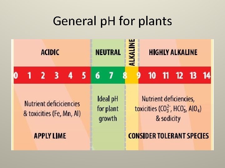 General p. H for plants 