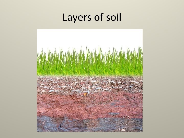 Layers of soil 