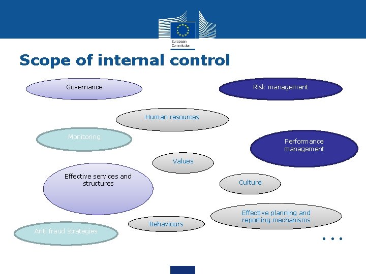 Scope of internal control Governance Risk management Human resources Monitoring Performance management Values Effective