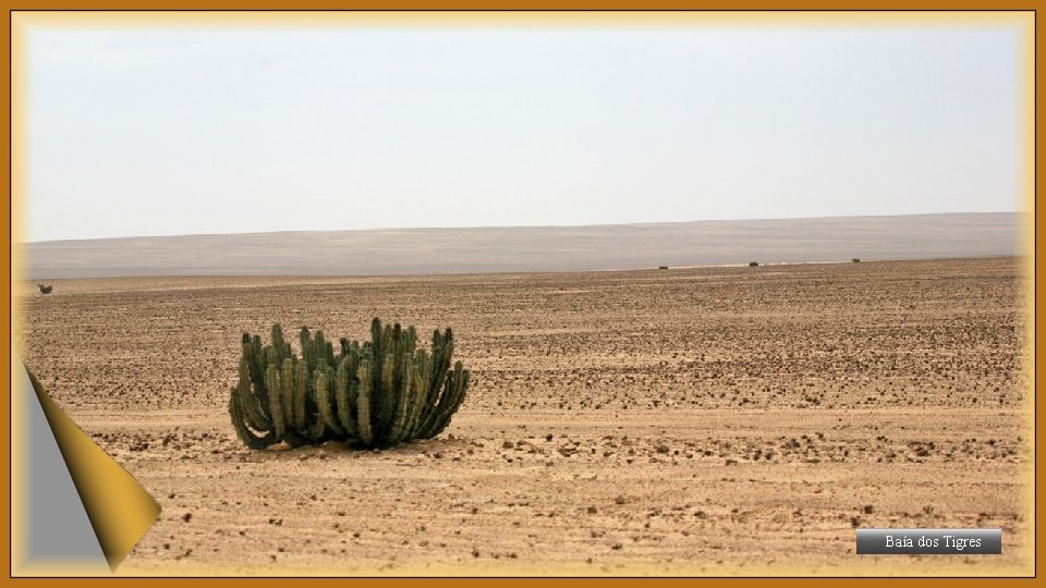 Baía dos Tigres 