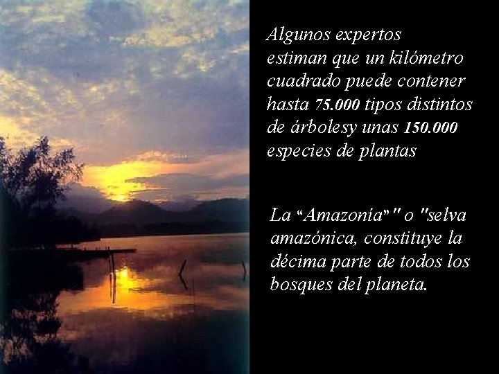 Algunos expertos estiman que un kilómetro cuadrado puede contener hasta 75. 000 tipos distintos