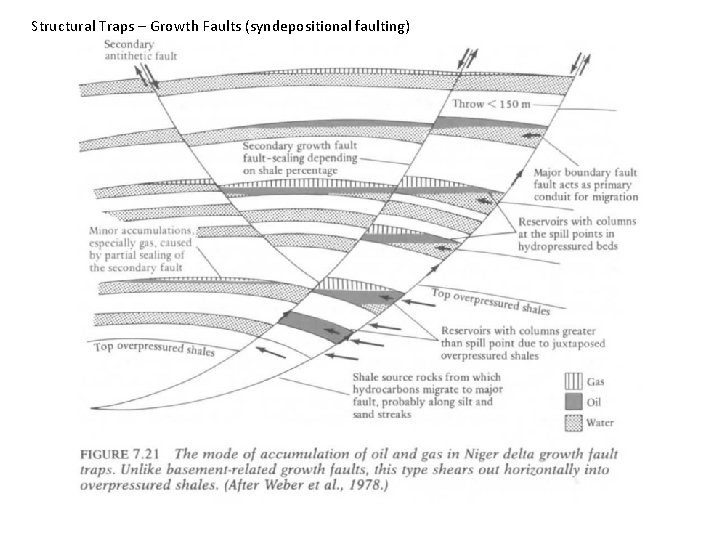 Structural Traps – Growth Faults (syndepositional faulting) 