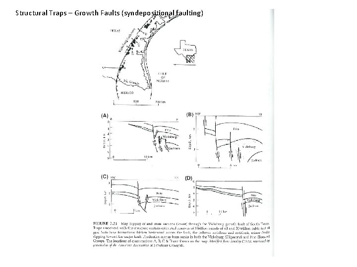 Structural Traps – Growth Faults (syndepositional faulting) 