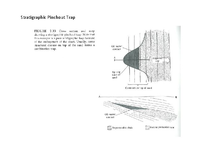 Stratigraphic Pinchout Trap 