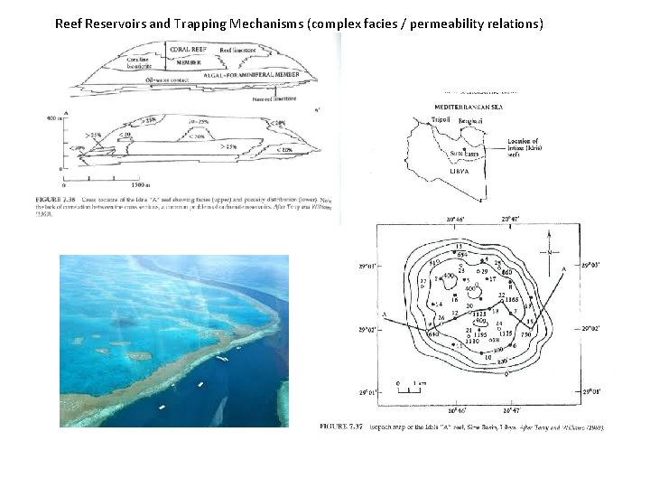 Reef Reservoirs and Trapping Mechanisms (complex facies / permeability relations) 