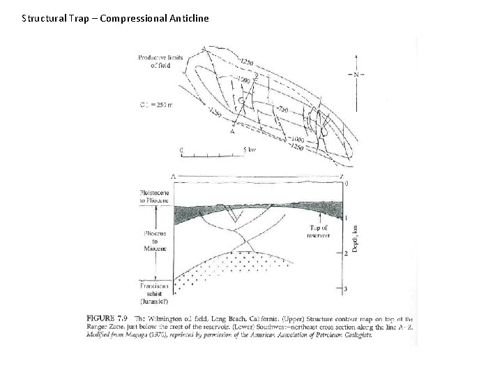 Structural Trap – Compressional Anticline 