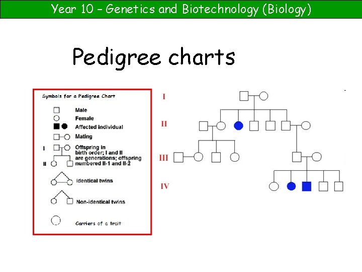 Year 10 – Genetics and Biotechnology (Biology) Pedigree charts 