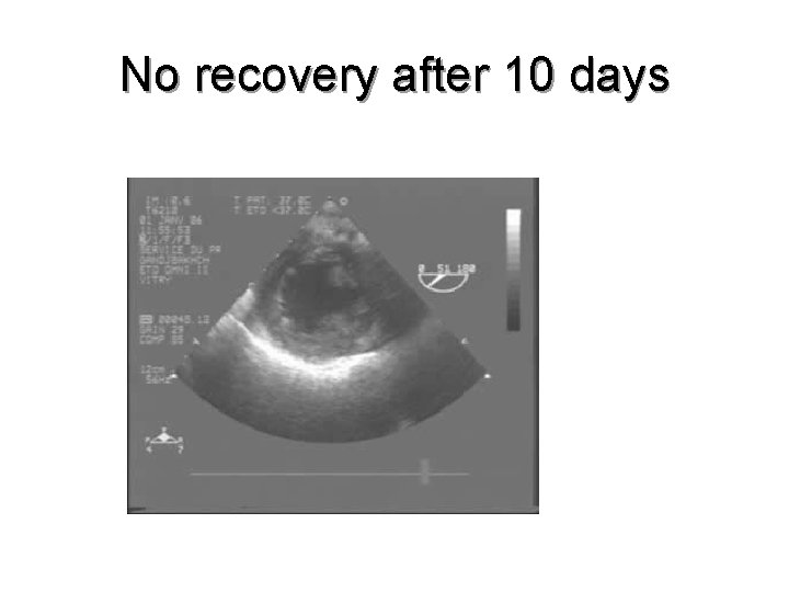 No recovery after 10 days 