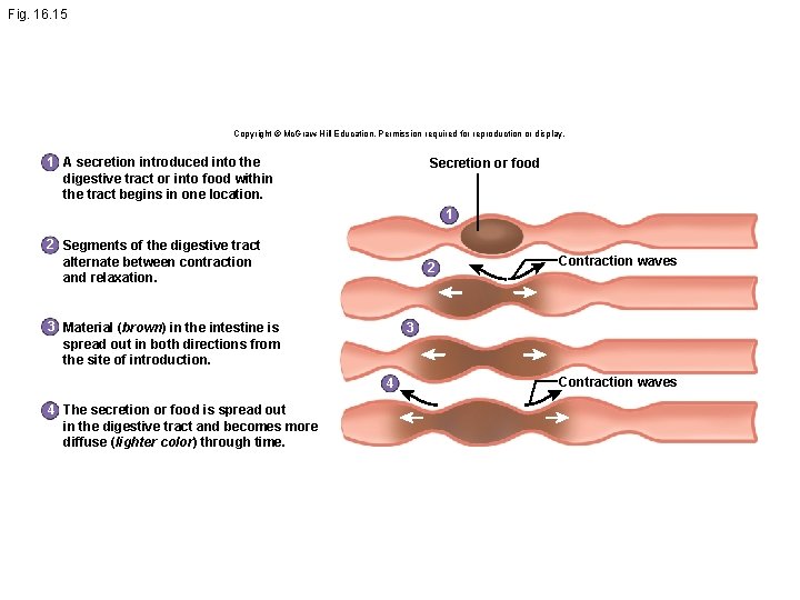 Fig. 16. 15 Copyright © Mc. Graw-Hill Education. Permission required for reproduction or display.
