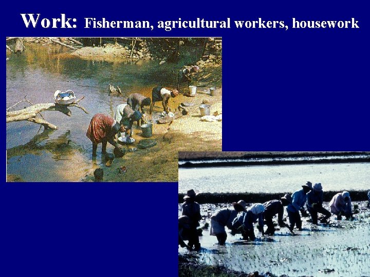 Work: Fisherman, agricultural workers, housework 