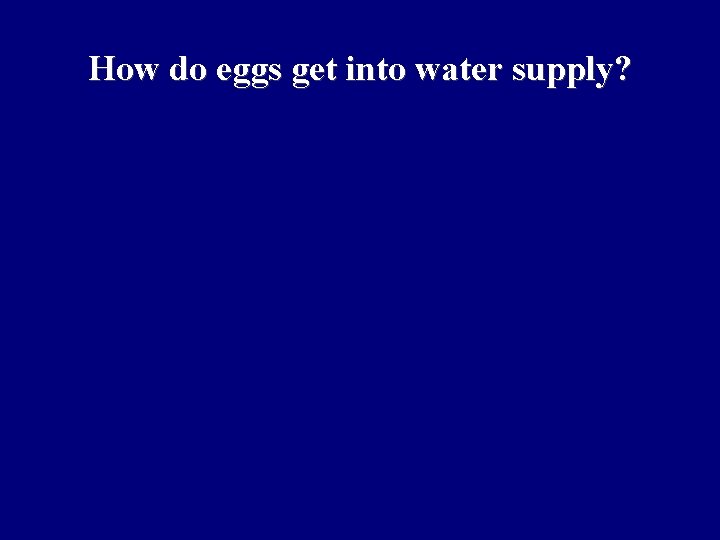 How do eggs get into water supply? 