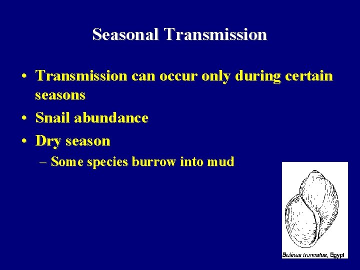 Seasonal Transmission • Transmission can occur only during certain seasons • Snail abundance •