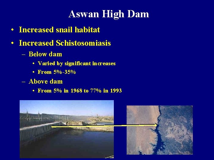 Aswan High Dam • Increased snail habitat • Increased Schistosomiasis – Below dam •