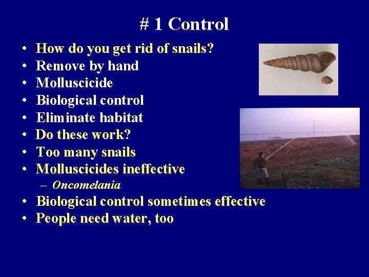 # 1 Control • • How do you get rid of snails? Remove by
