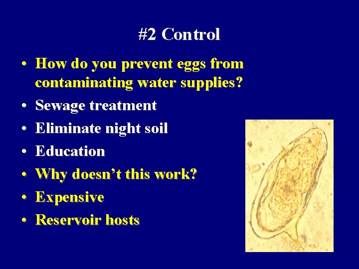 #2 Control • How do you prevent eggs from contaminating water supplies? • Sewage