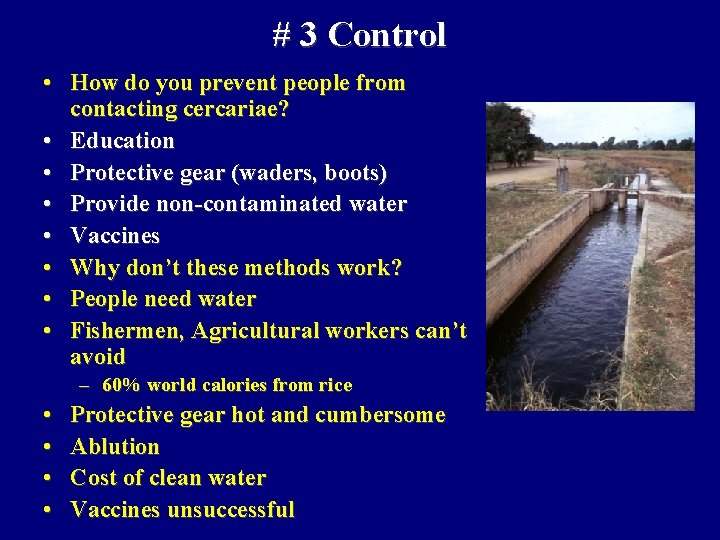 # 3 Control • How do you prevent people from contacting cercariae? • Education