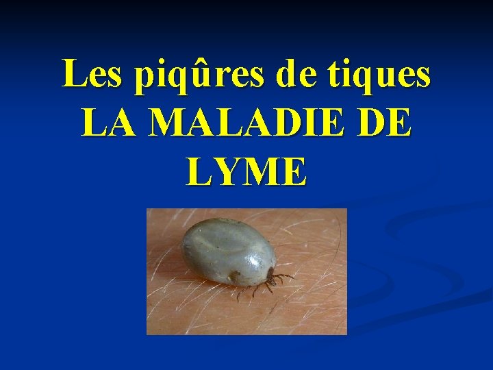 Les piqûres de tiques LA MALADIE DE LYME Les piqûres de tiques LA MALADIE DE LYME