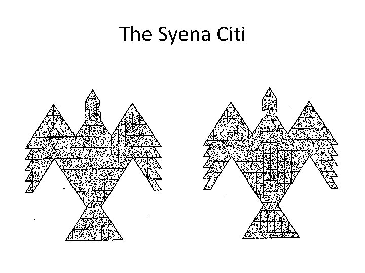The Syena Citi 
