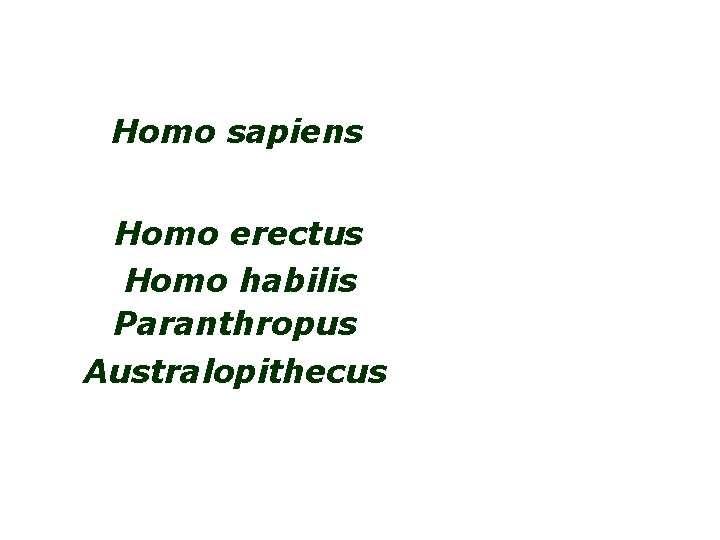 Homo sapiens Moderns (Cro-magnon …) Premoderns (Neandertal …) Homo erectus Homo habilis Paranthropus Australopithecus