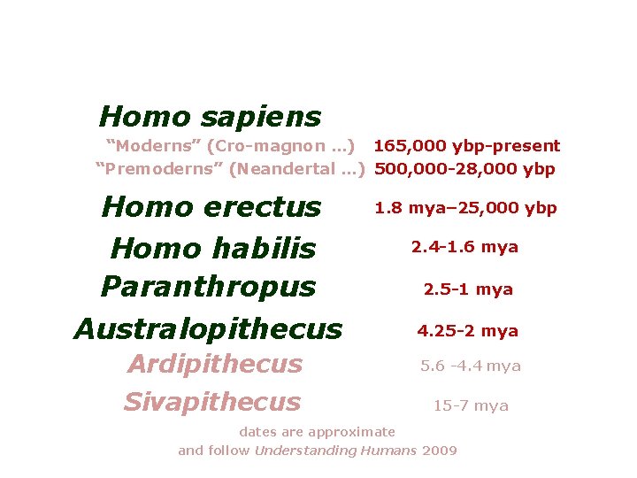 Homo sapiens “Moderns” (Cro-magnon …) 165, 000 ybp-present “Premoderns” (Neandertal …) 500, 000 -28,