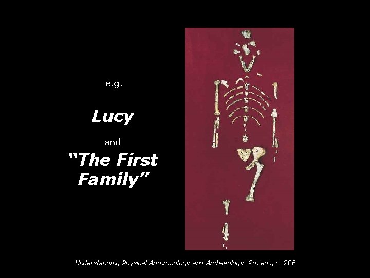 e. g. Lucy and “The First Family” Understanding Physical Anthropology and Archaeology, 9 th