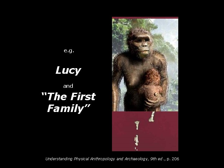 e. g. Lucy and “The First Family” Understanding Physical Anthropology and Archaeology, 9 th