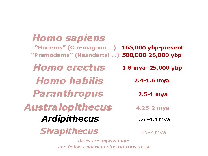 Homo sapiens “Moderns” (Cro-magnon …) 165, 000 ybp-present “Premoderns” (Neandertal …) 500, 000 -28,