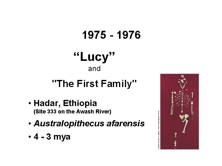 1975 - 1976 “Lucy” and "The First Family" • Hadar, Ethiopia (Site 333 on