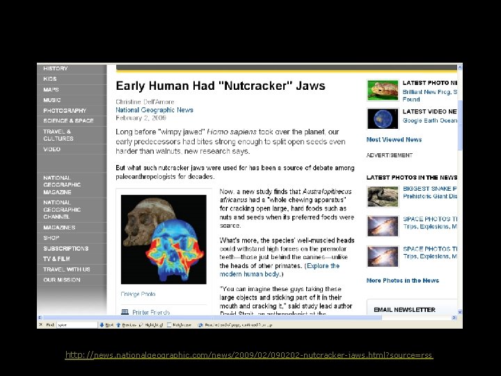 http: //news. nationalgeographic. com/news/2009/02/090202 -nutcracker-jaws. html? source=rss 