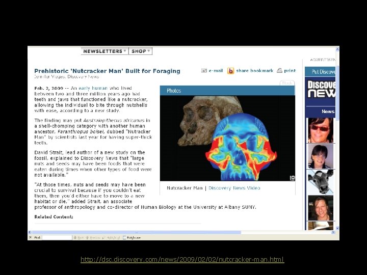 http: //dsc. discovery. com/news/2009/02/02/nutcracker-man. html 