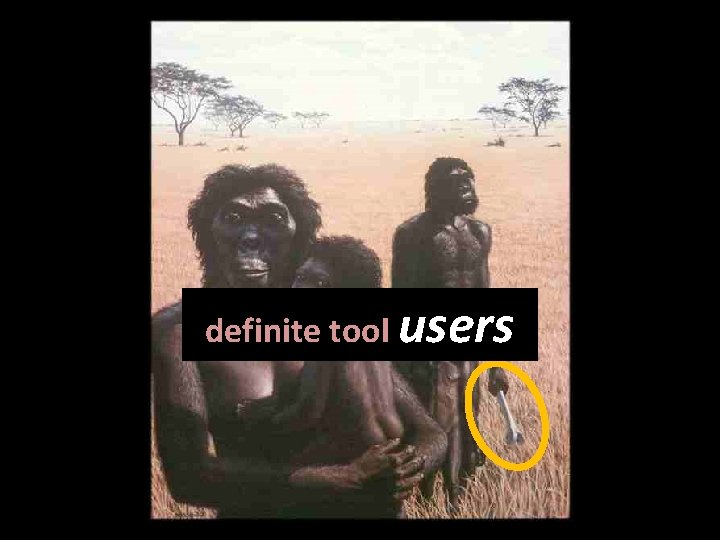 definite tool users 