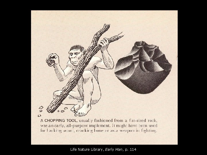 Life Nature Library, Early Man, p. 114 