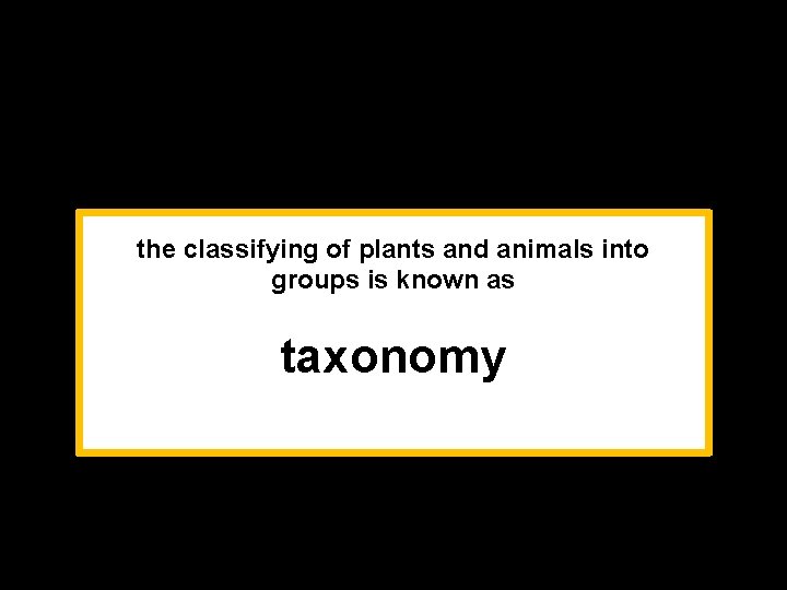 the classifying of plants and animals into groups is known as taxonomy 
