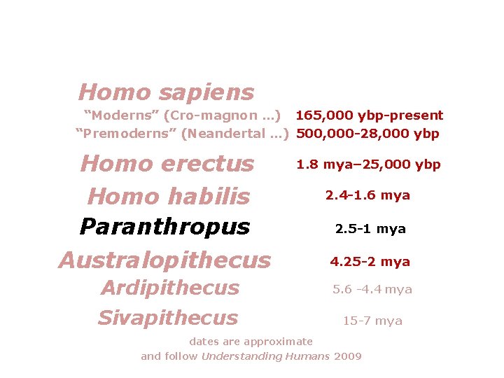 Homo sapiens “Moderns” (Cro-magnon …) 165, 000 ybp-present “Premoderns” (Neandertal …) 500, 000 -28,