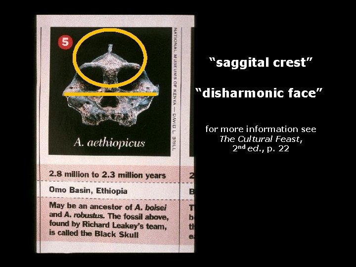 “saggital crest” “disharmonic face” for more information see The Cultural Feast, 2 nd ed.