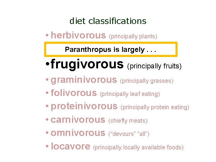 diet classifications • herbivorous (principally plants) • insectivorous Paranthropus is(principally largely insects). . .