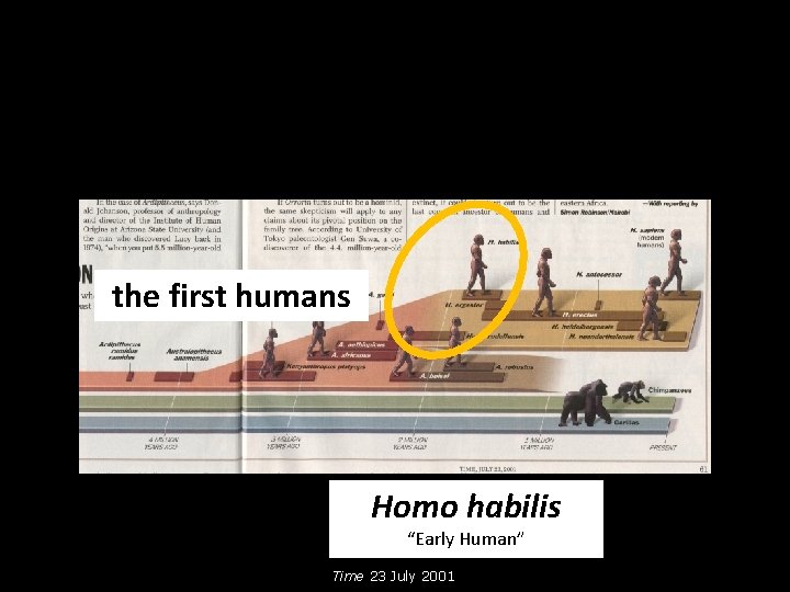 the first humans Homo habilis “Early Human” Time 23 July 2001 