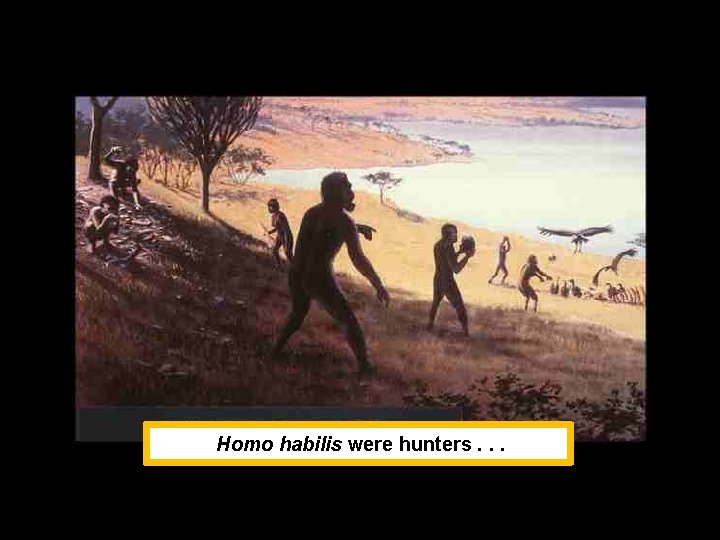 Homo habilis were hunters. . . 
