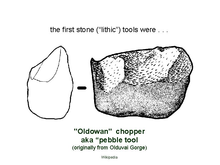 the first stone (“lithic”) tools were. . . "Oldowan" chopper aka “pebble tool (originally